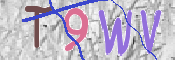 Immagine CAPTCHA